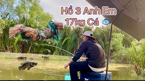 ✅: Câu Cá Sài Gòn hồ bán tự nhiên 3 Anh Em điểm câu “Sài Gòn” nhiều cá | VinhVlog