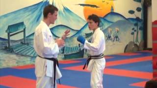 2014: Kumite training (2) in Champions Dojo