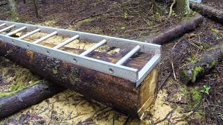 Milling logs into Lumber