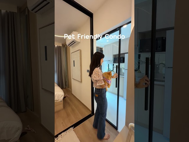 Vlog สั้นๆ ไปถ่าย Pet Friendly Condo ในเชียงใหม่