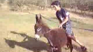 Download Lagu amix ol hmar MP3