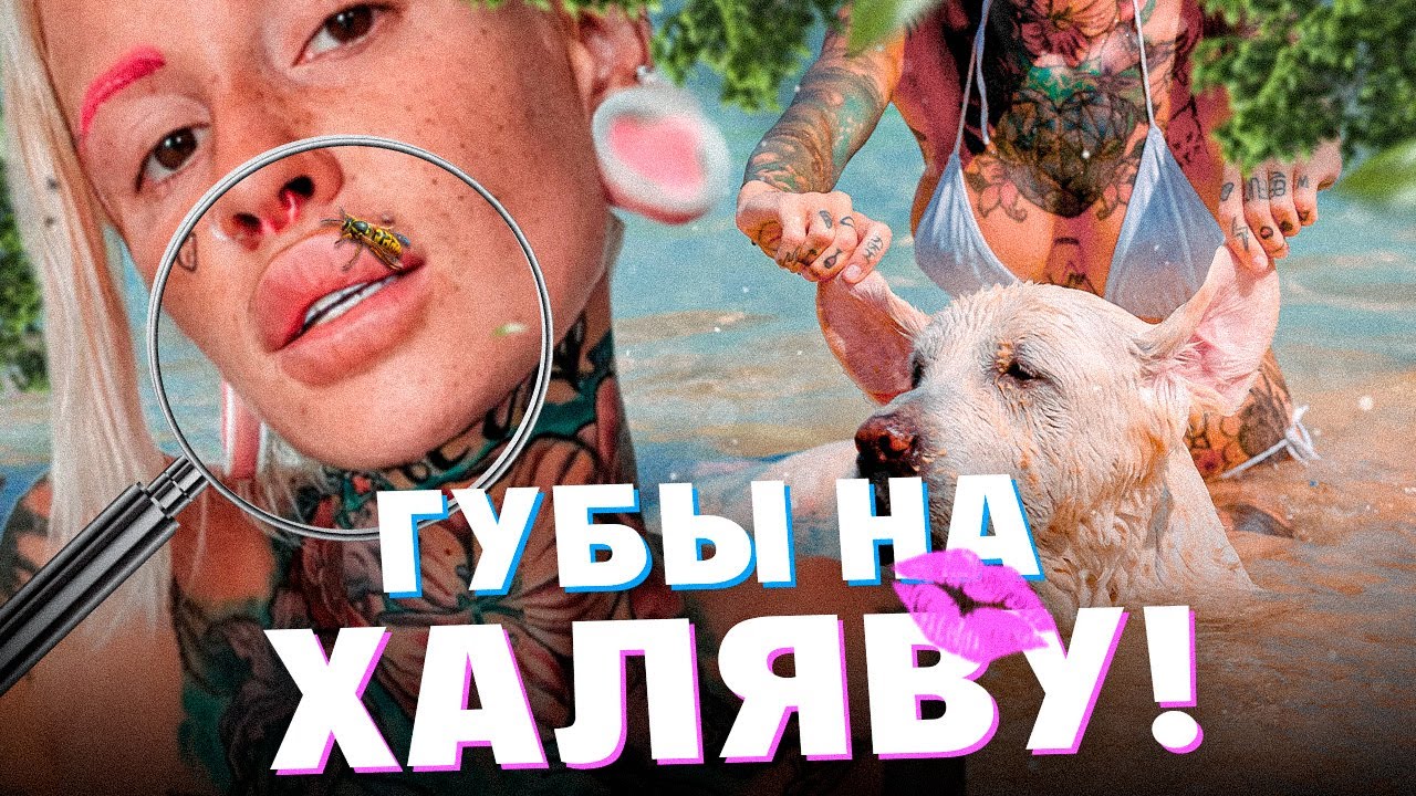 ���� ������������� � ������ �����������: ����.