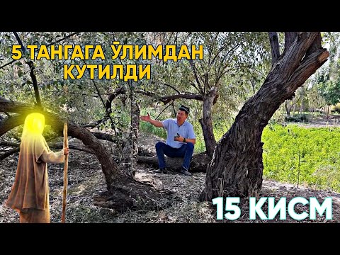 АЗРОИЛ АЛАЙХИССАЛОМ НЕГА ЖОНИНИ ОЛИАДИ ДЕХКОНИ