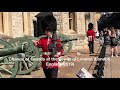 Change of Guards at the Tower of London (London, England 2019)