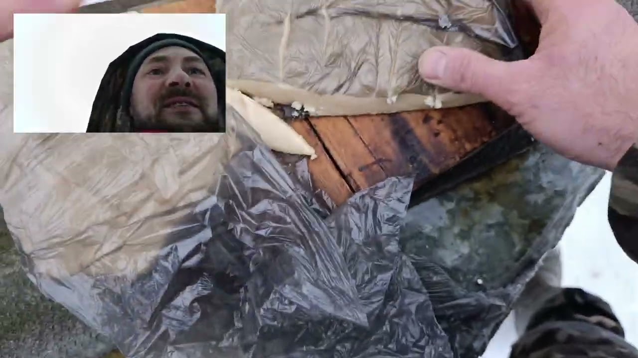 Пчеловодство.Середина февраля 