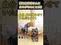 認知症患者にありがちなこと2選 #猫ミーム #猫マニ #看護師