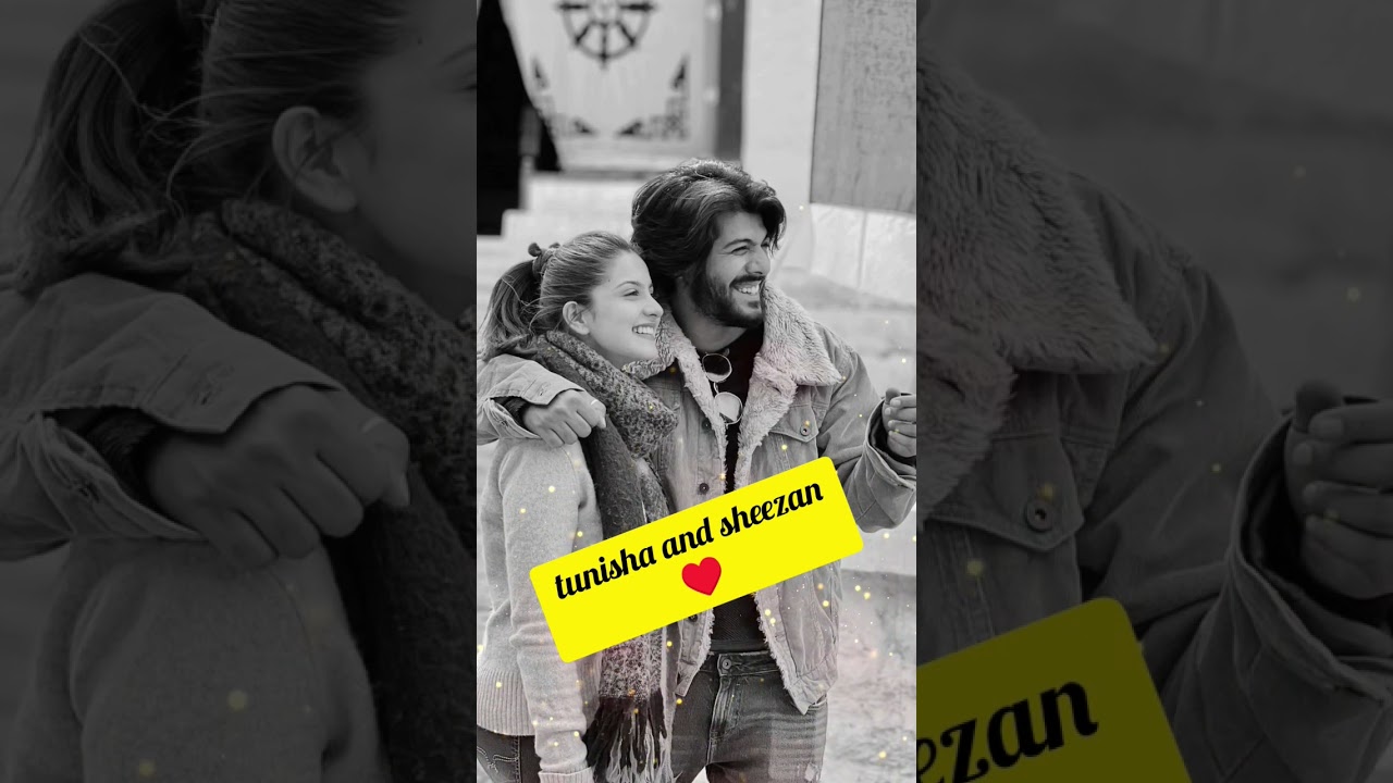 Tunisha And Sheezan ♥️ | Tunisha And Sheezan Love | Tunisha And Sheezan Status 