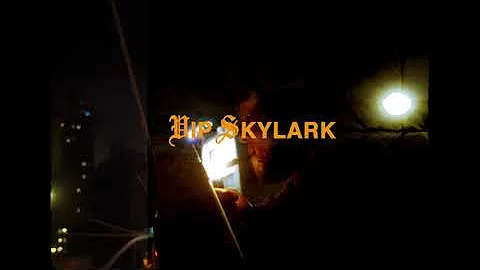 VIP Skylark | Walk In | Prod. Cy8er Luv ( Official Music Video ) Dir by @milanstudio.s