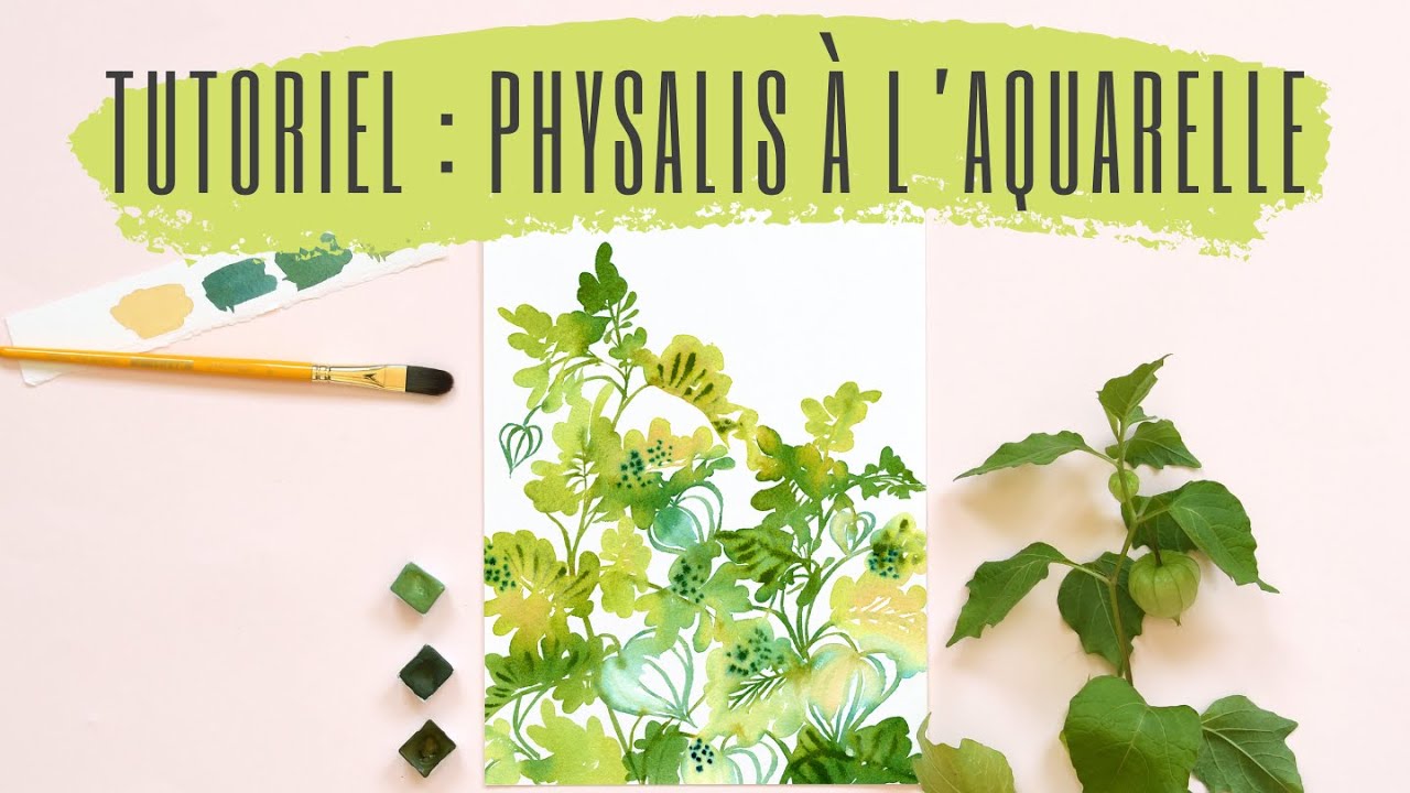Tutoriel aquarelle : branche de physalis