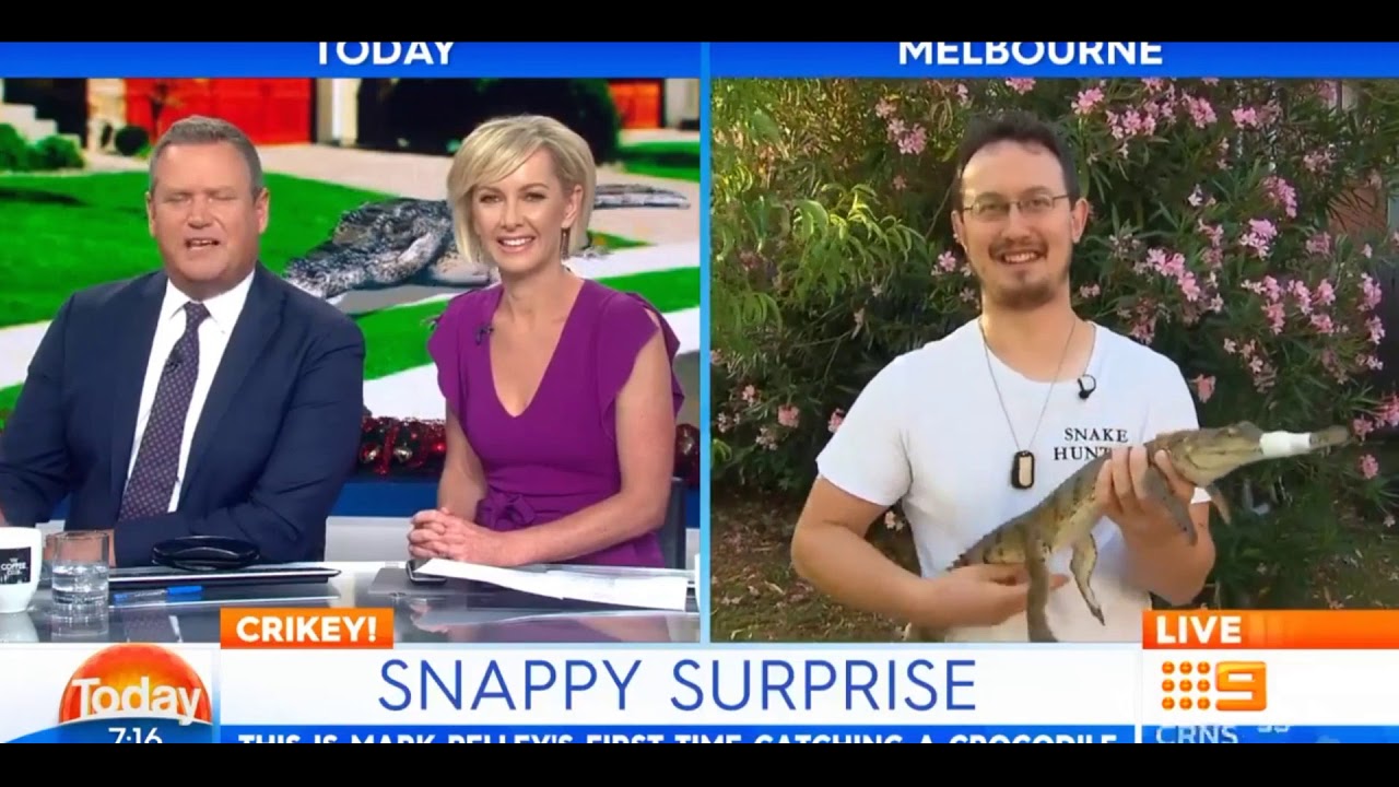 snake hunter dusty crum Freshwater Crocodile Capture in Melbourne Australia. Live Interview Today Show. Freshwater Crocodile
