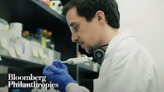 Overcoming Challenges & Improving Public Health | Bloomberg Philanthropies
