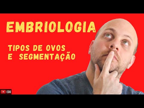 EMBRIOLOGIA| QUAIS SÃO OS TIPOS DE OVOS E SEGMENTAÇÃO?