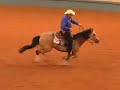NRHA Reining Horse Music Video