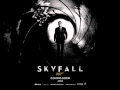 Skyfall remix