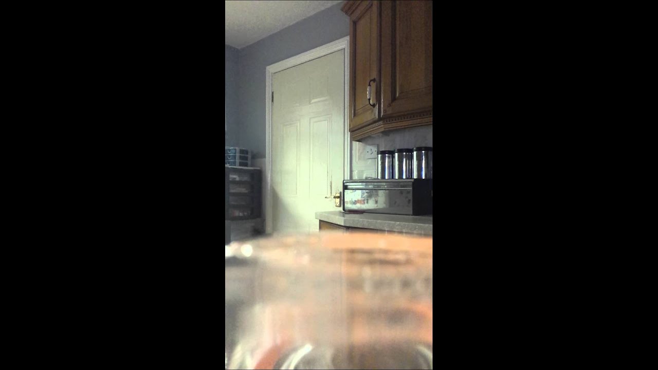 German Shepherd dog opens door YouTube