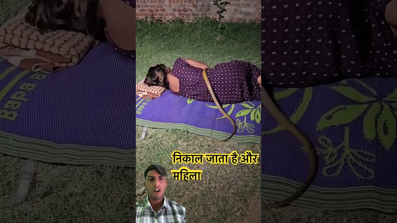 😱 Woman Shocked as Snake Crawls Over Her While Sleeping | India 🐍 