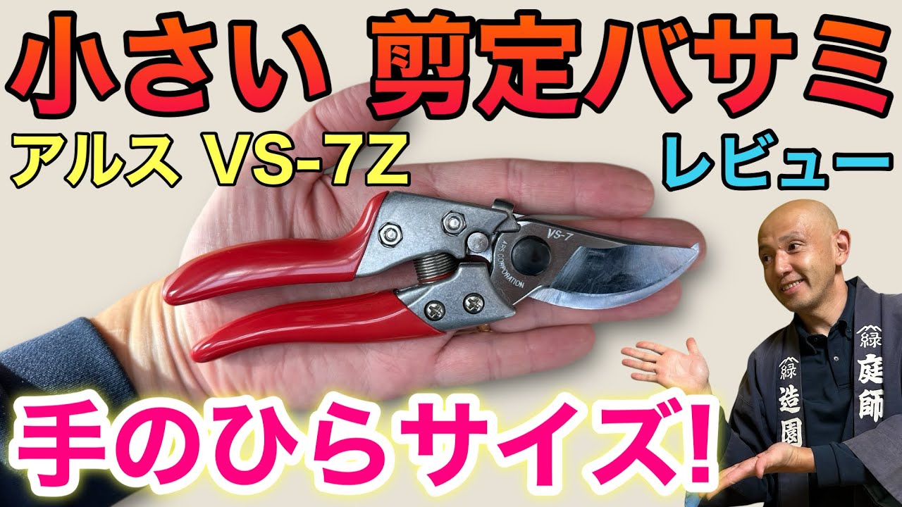 Pay attention to the size!] Is the Ars VS-7Z suitable for women? A