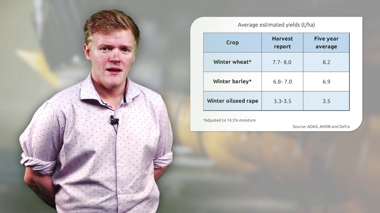 Considerable variation - the story of harvest 2018 - YouTube