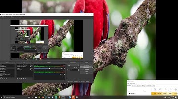 OBS how to lower CPU usage and keep video quality