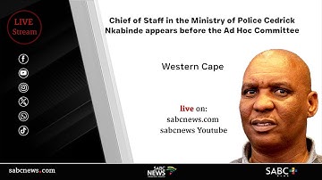 Parliament Ad Hoc Committee | Chief of Staff in the Police Ministry Cedrick Nkabinde