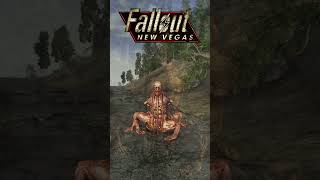 Evolution Of Centaur In Fallout Games