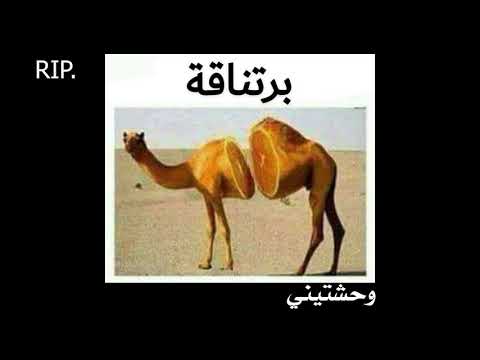 تراك البرتناقة