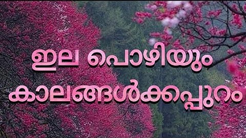 ഇലപൊഴിയും കാലങ്ങൾക്കപ്പുറം | ആലാപനം : കെസ്റ്റർ | സംഗീതം : പീറ്റർ ചേരനെല്ലൂർ | ഗാനരചന : കലയന്താനി .