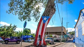 Calle Pico Dulce - Los Diamantes - Ponce, Puerto Rico