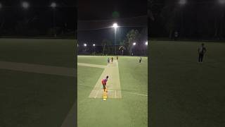 Just 1 Run... Cricket