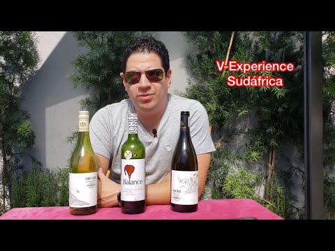 Video: Una Guía Rápida Del Vino Sudafricano