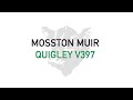 MOSSTON MUIR QUIGLEY V397 - ABERDEEN-ANGUS BULL