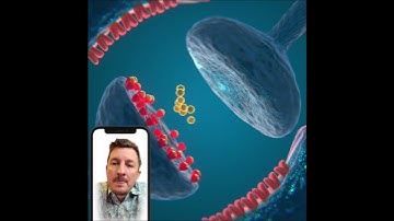 What Actually Happens Inside Your Brain When Decision Fatigue Hits (Animated Breakdown)