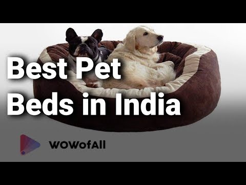 best-pet-beds-in-india:-complete-list-with-features,-price-range-&-details