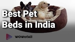 Best Pet Beds in India: Complete List with Features, Price Range & Details