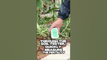 How to Check Your Soil Before Planting 🌱 | Garden Soil Testing for Beginners