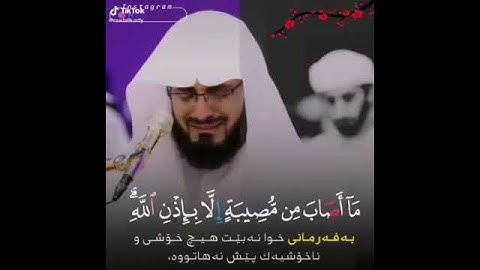 سورة التغابن بصوت شجي