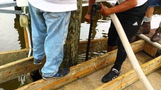 New Piling for dock