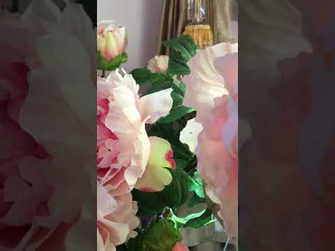 ولا عارف اغنية كانت دويتو بين الراحلة ذكرى وايهاب توفيق كلمات ولا اروع بصوتي يارب تعجبكم