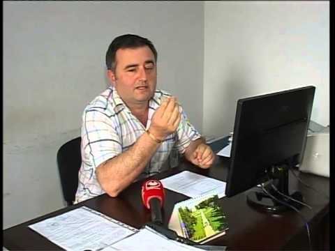 ანი წითლიძემ ახალგაზრდებთან ერთად ორმოები ამოავსო და აქცია გამართა.