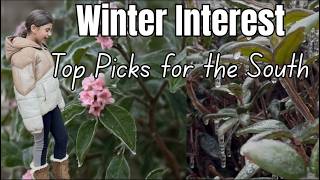 Icy Garden Tour - low maintenance winter interest that thrives in the southeast
