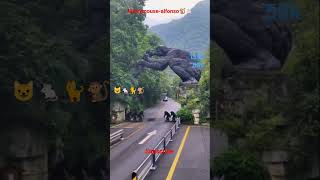 monkey point, monkey King #trending #shorts #viral #monkey