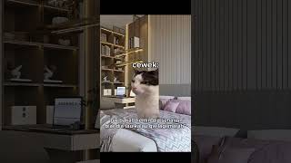 Hari Yang Damai meme memekucing kucing kucinglucu fyp viral