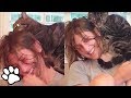 Cats Have No Personal Space | That Pet Life