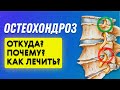 Остеохондроз причины | Остеопат Марина Просветина