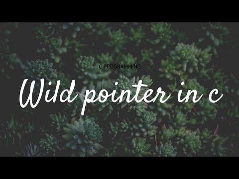 wild pointer in c|akanksha computer classes