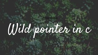 wild pointer in c|akanksha computer classes