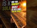 Solar panels that clean themselves #doyouknow #nanocoating