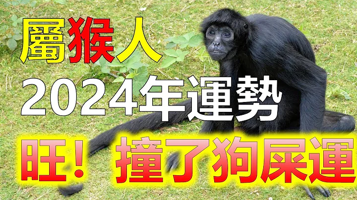 十二生肖2024年属猴大爆发，属猴2024年运势，十二生肖属猴人一直都是非常幸运的，总是会有很多好运降临到属猴人的身上，比如2024年对于生肖猴来说，就是财运大爆发的一年，属猴人2024年事业大爆发 - 天天要闻