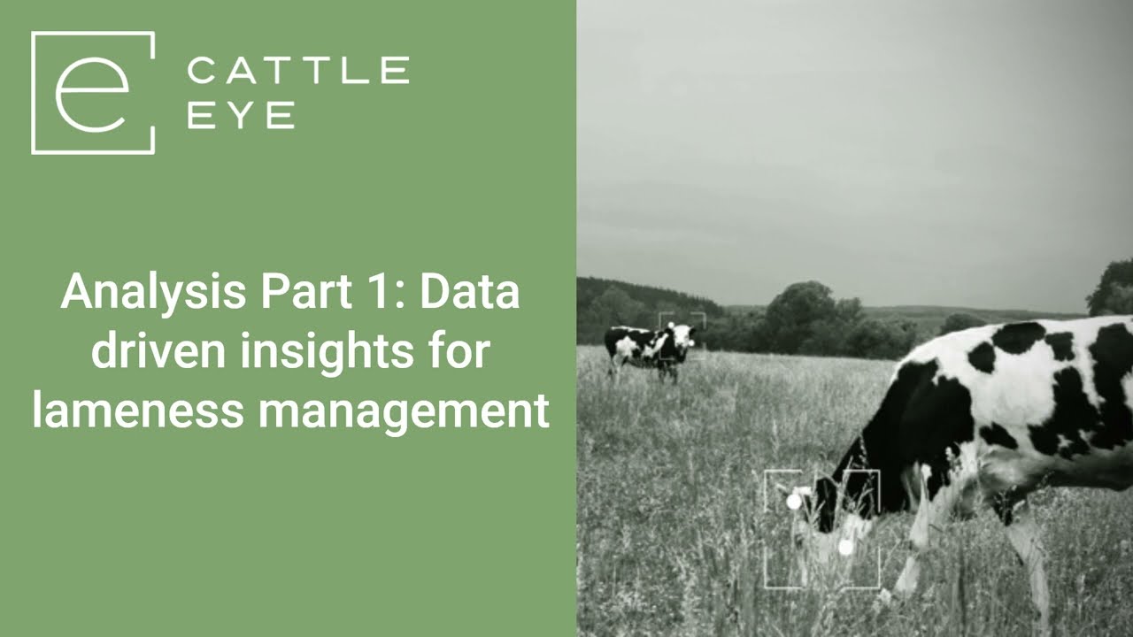 Analysis Part 1: Data driven insights for lameness management