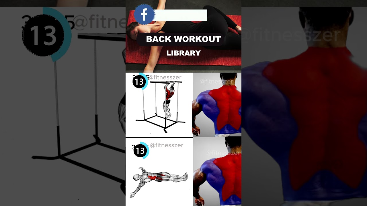 Climbing Monkey Bars & Supine Spinal Twist for Men & Women 